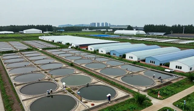 鲜活鱼虾运输损耗控制的关键技术解析
