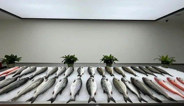 鲜活鱼虾保鲜难题,生态优先如何破局
